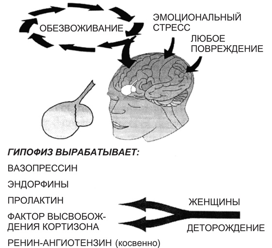 Вода для здоровья