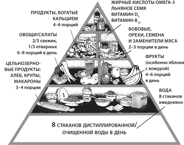 Здоровая нервная система