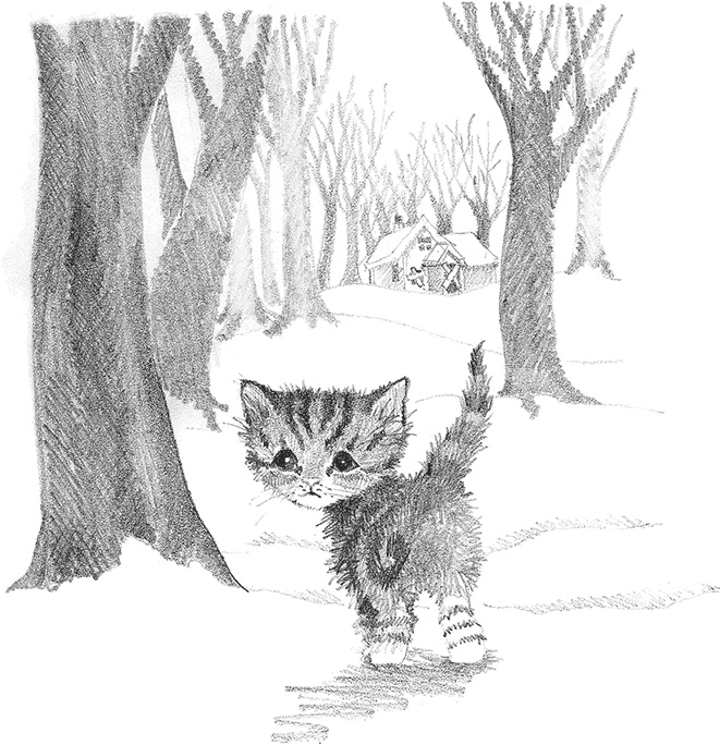 Котёнок Снежинка, или Зимнее волшебство
