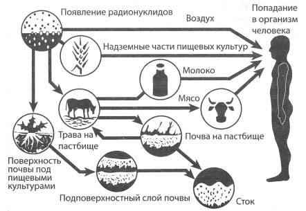 Чернобыль, Припять, далее Нигде…