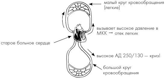 Пока едет "Скорая". Рассказы, которые могут спасти вашу жизнь