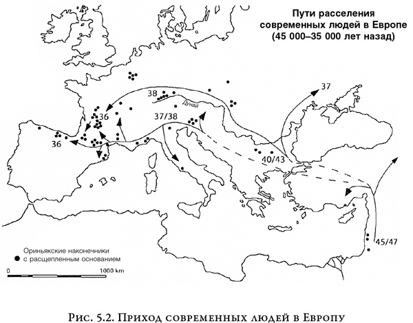 На заре человечества. Неизвестная история наших предков