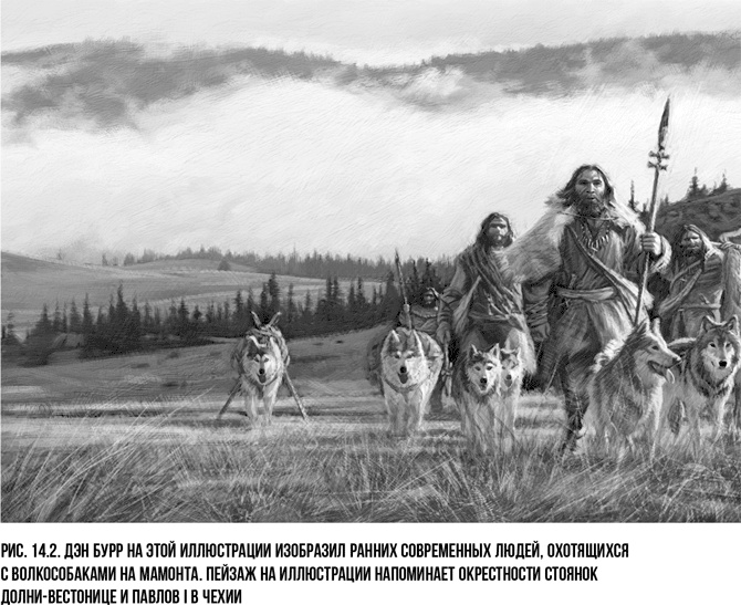 Захватчики: Люди и собаки против неандертальцев