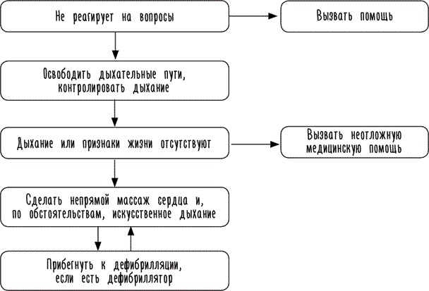 Тук-тук, сердце! Как подружиться с самым неутомимым органом и что будет, если этого не сделать