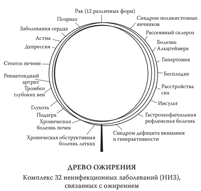 Человеческий суперорганизм. Как микробиом изменил наши представления о здоровом образе жизни