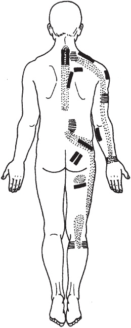 Лечебные точки организма. Снимаем боли в суставах и мышцах, укрепляем кожу, вены, сон и иммунитет