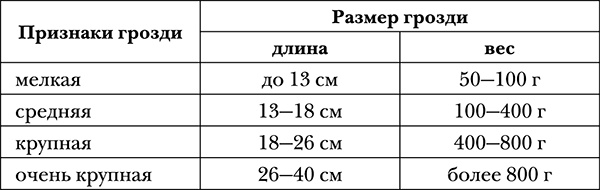 Виноград на вашей даче. Растет не только на юге!