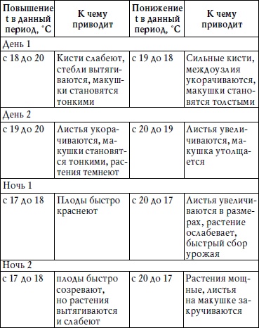 Ленивые помидоры. Как вырастить без труда? 50 шагов к успеху