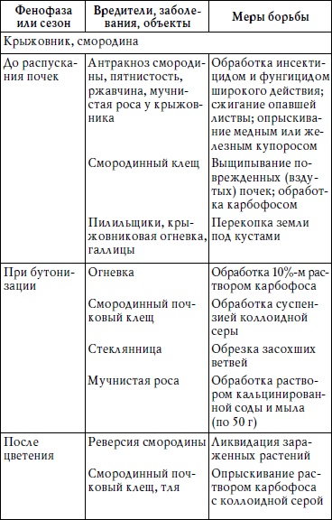 Богатый сад. Шпаргалка разумного дачника. 100 экспресс-советов