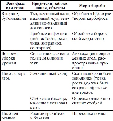 Богатый сад. Шпаргалка разумного дачника. 100 экспресс-советов