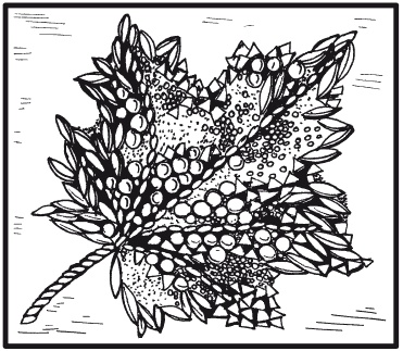 Мозаика из крупы и семян