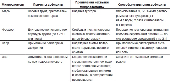 Всё о семенах овощных культур