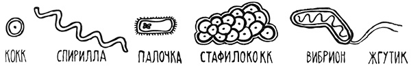 Загадка жизни и грязные носки Йоса Гротьеса из Дрила