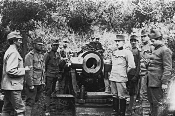 Турецкий фронт России. 1914-1917