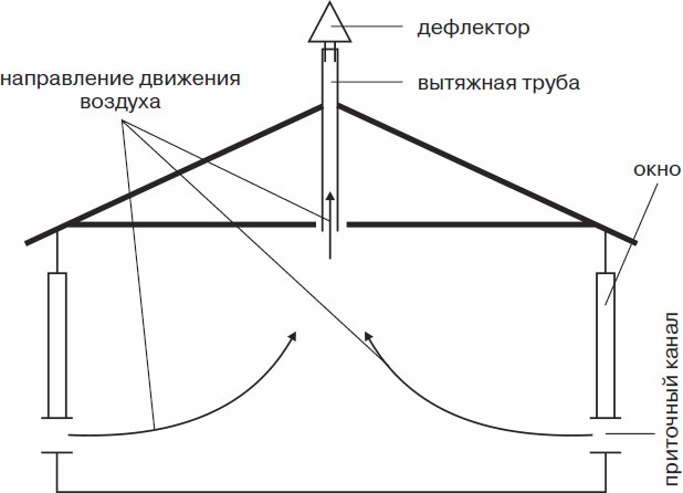 Кролиководство для начинающих