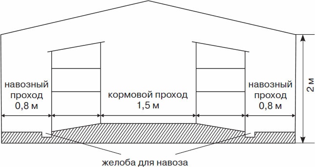 Кролиководство для начинающих