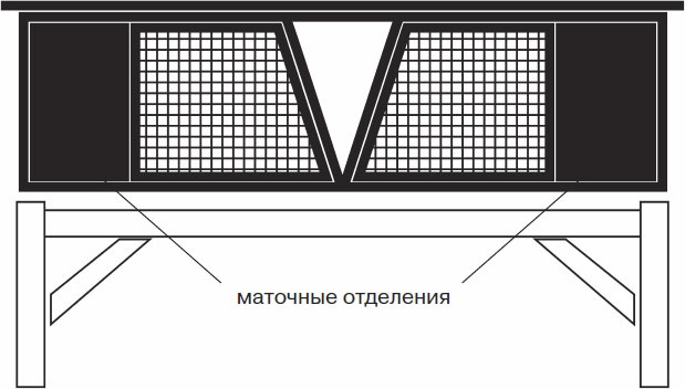 Кролиководство для начинающих