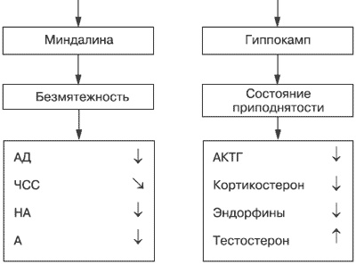 Эмоции и чувства