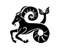 Козерог. Самый полный гороскоп на 2017 год. 22 декабря - 20 января