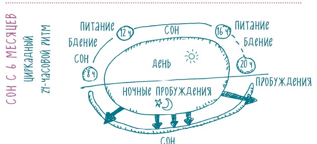 Как научить ребенка спать. Революционный метод доктора Эстивиля