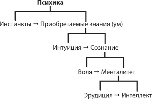 Философия аналитики