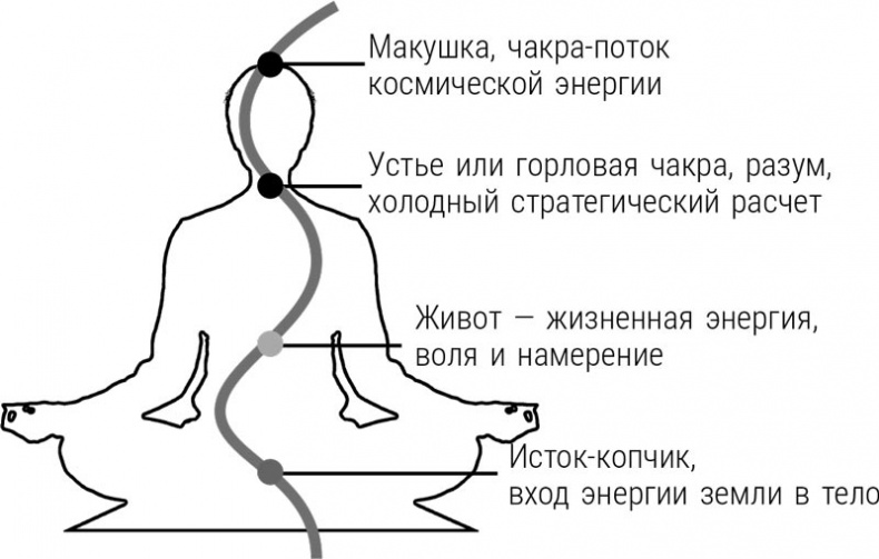 Научись быть экстрасенсом. #Магия чистого сознания