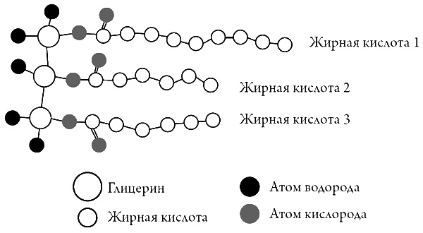 Что скрывает кожа. 2 квадратных метра, которые диктуют, как нам жить