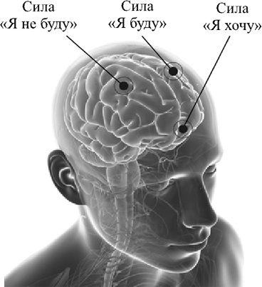 Ультиматум удовольствия