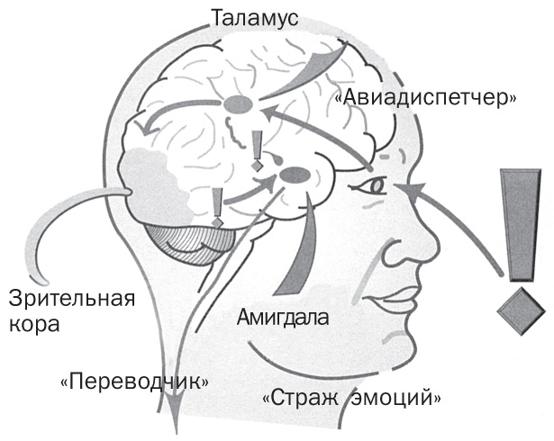 Спасите заложника. Как разрешать конфликты и влиять на людей