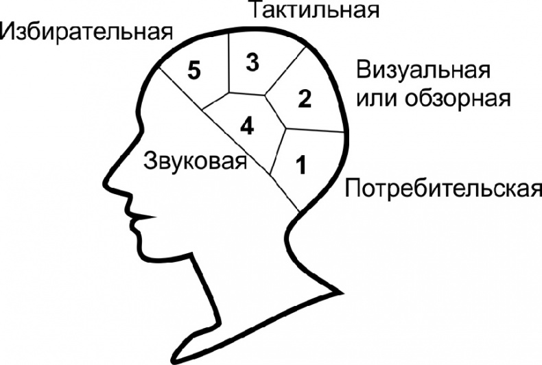 Читай лица! Специальная методика чтения лиц и эмоций