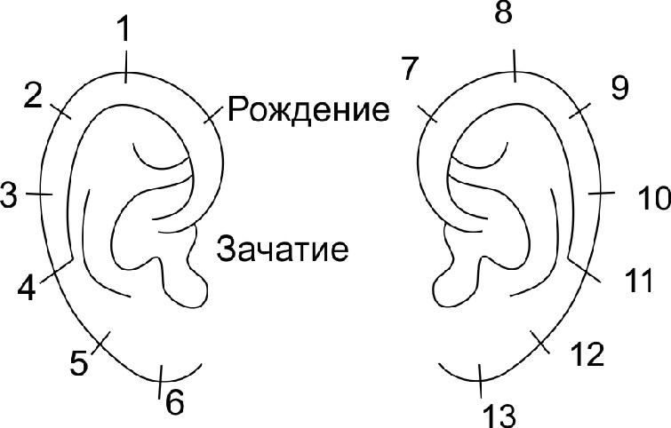 Читай лица! Специальная методика чтения лиц и эмоций