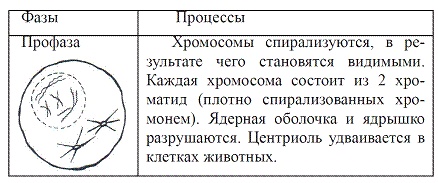 Как достичь надежности в близких отношениях и уверенности в себе