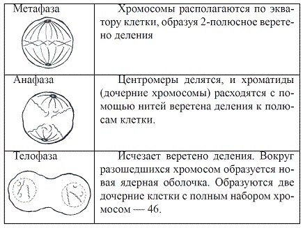 Как достичь надежности в близких отношениях и уверенности в себе