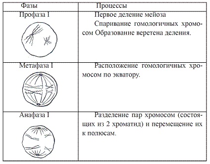 Как достичь надежности в близких отношениях и уверенности в себе