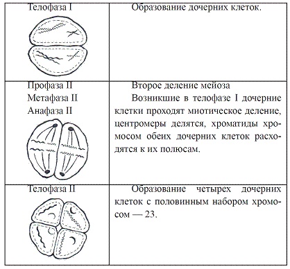 Как достичь надежности в близких отношениях и уверенности в себе