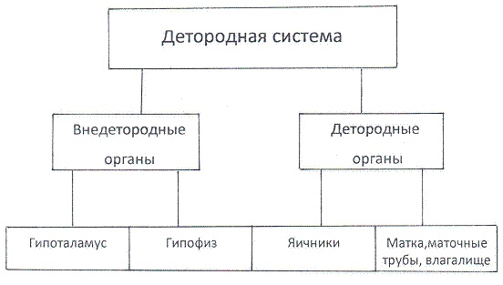 Как достичь надежности в близких отношениях и уверенности в себе