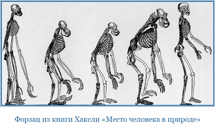 Путешествие вокруг света на корабле «Бигль»