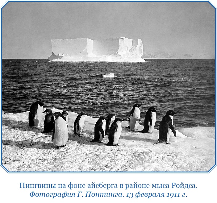 Дневники полярного капитана