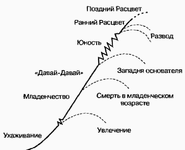 Управление жизненным циклом корпорации