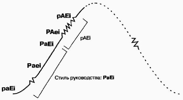 Управление жизненным циклом корпорации