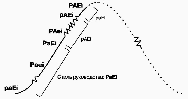 Управление жизненным циклом корпорации