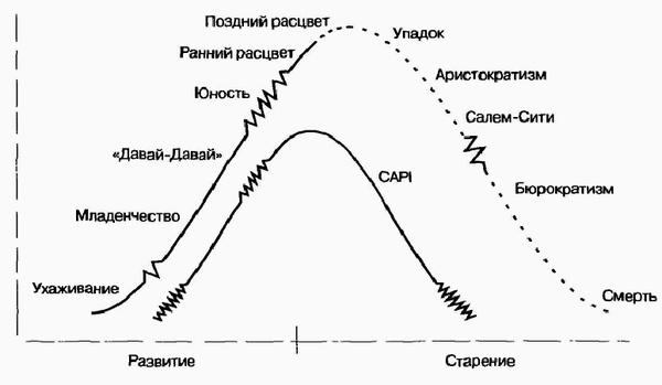 Управление жизненным циклом корпорации