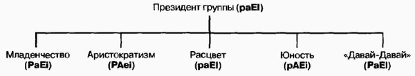 Управление жизненным циклом корпорации