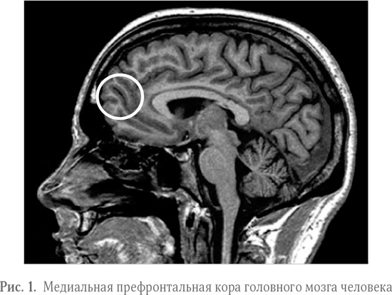 Круто! Как подсознательное стремление выделиться правит экономикой и формирует облик нашего мира