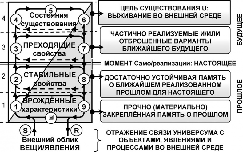 Универсум. Общая теория управления