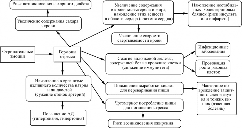 Советы специалиста. Здоровье руководителя – формула успеха