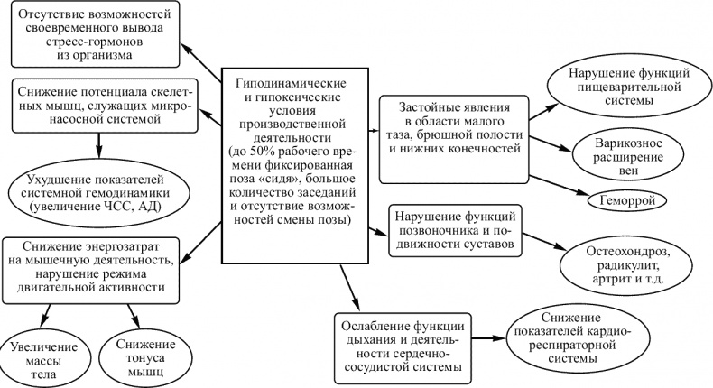 Советы специалиста. Здоровье руководителя – формула успеха