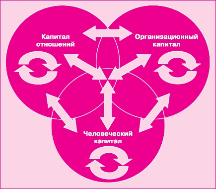 Управление знаниями. Как превратить знания в капитал