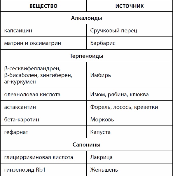 Кишечник долгожителя. 7 принципов диеты, замедляющей старение