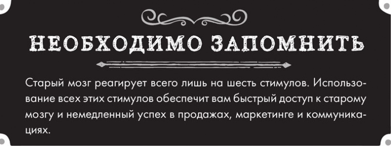 Тренинг по нейромаркетингу. Где находится кнопка «Купить» в сознании покупателя?